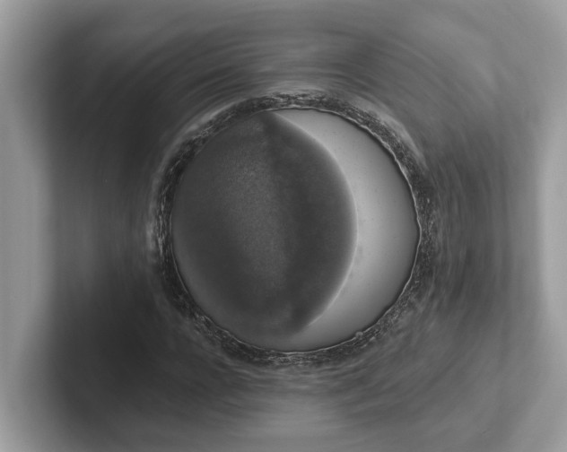 X0000101400920200807211030