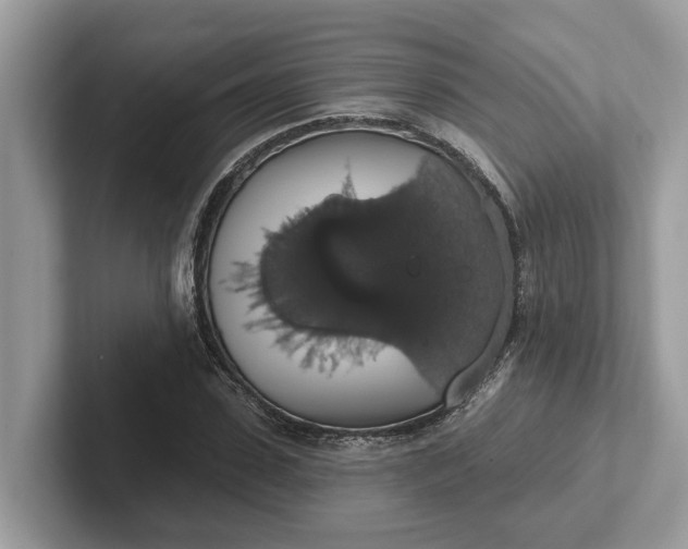 X0000101400923200807211030