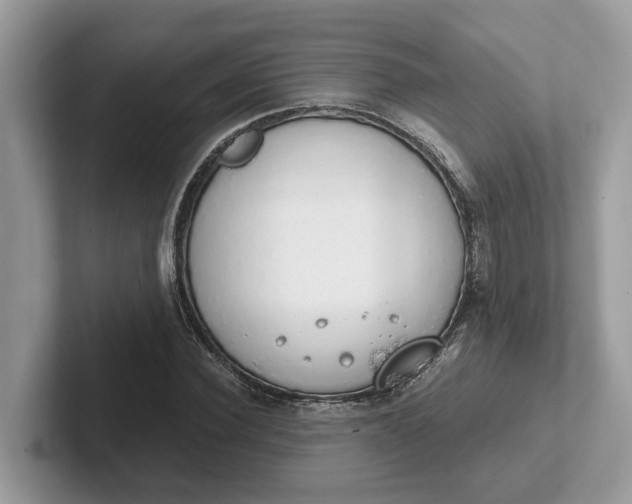 X0000101400924200807211030