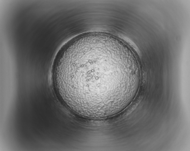 X0000101400928200807211031