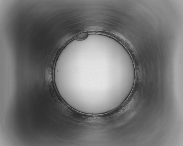 X0000101400929200807211031