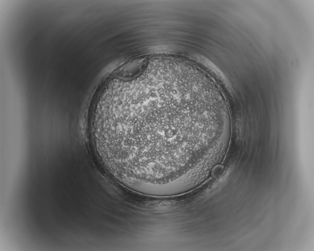 X0000101400930200807211031