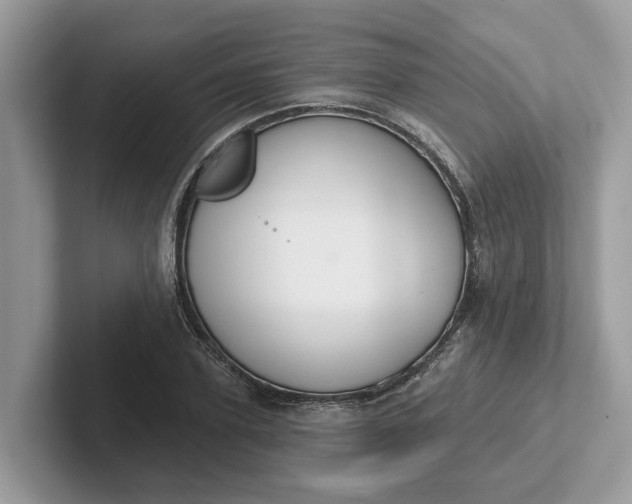 X0000101400931200807211031