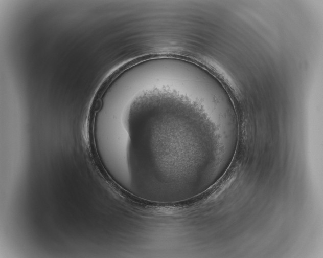 X0000101400932200807211031