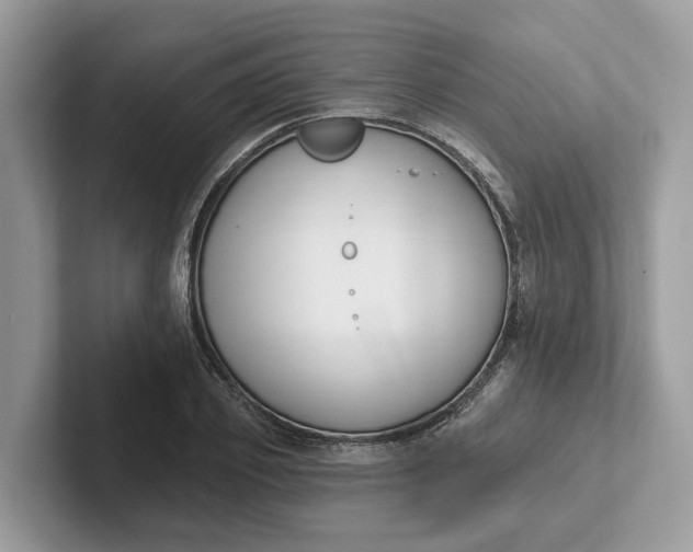 X0000101400933200807211031