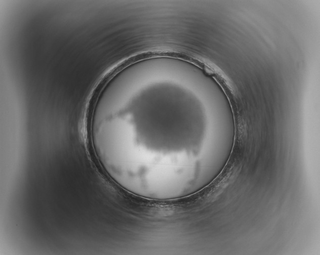 X0000101400935200807211031