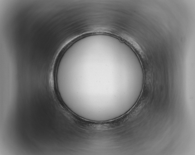 X0000101400936200807211031