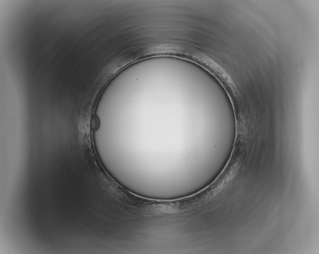 X0000101400937200807211031