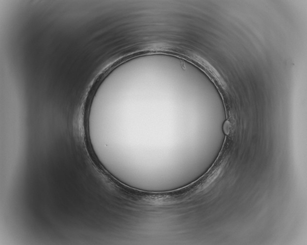 X0000101400939200807211031