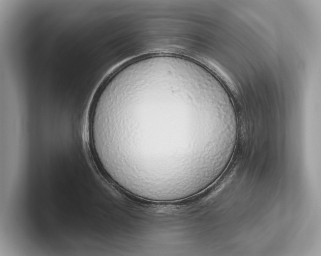 X0000101400940200807211031