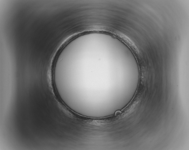 X0000101400942200807211031