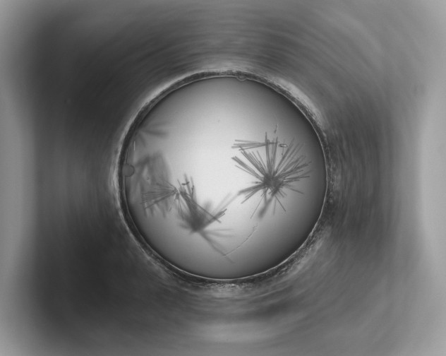 X0000101400943200807211031