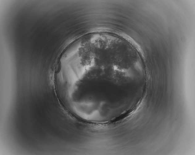 X0000101400945200807211031