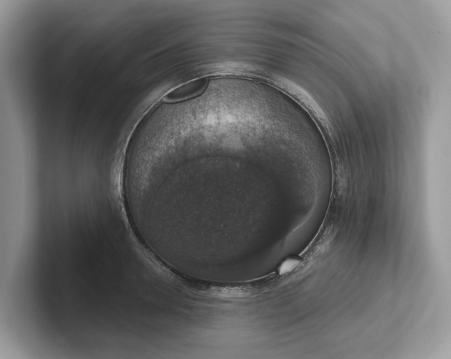 X0000101400946200807211031