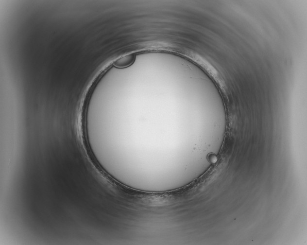 X0000101400947200807211031