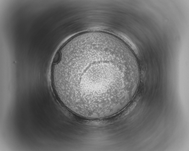 X0000101400948200807211031