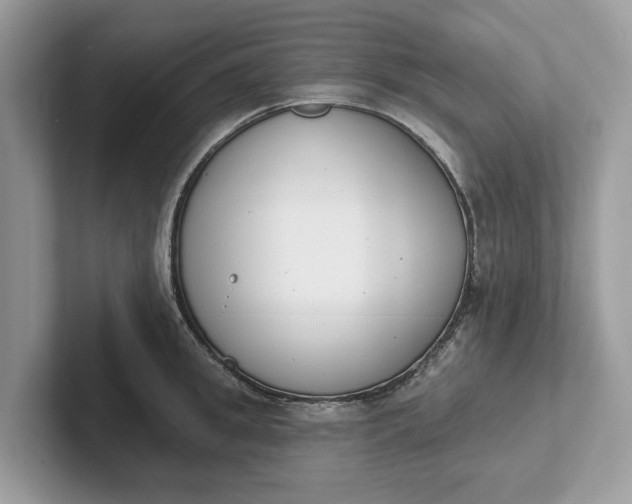 X0000101400949200807211031