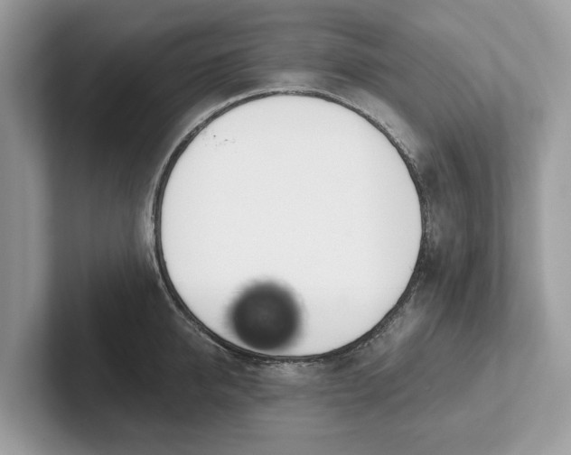 X0000101400950200807211031