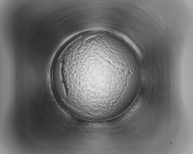 X0000101400951200807211031