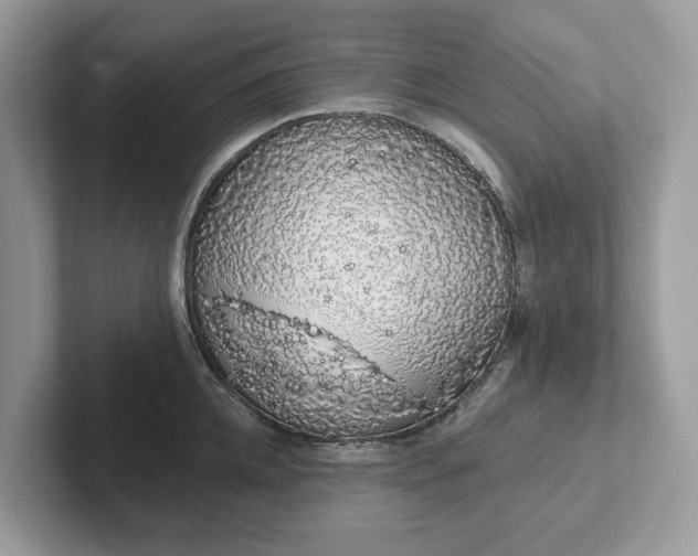 X0000101400952200807211031