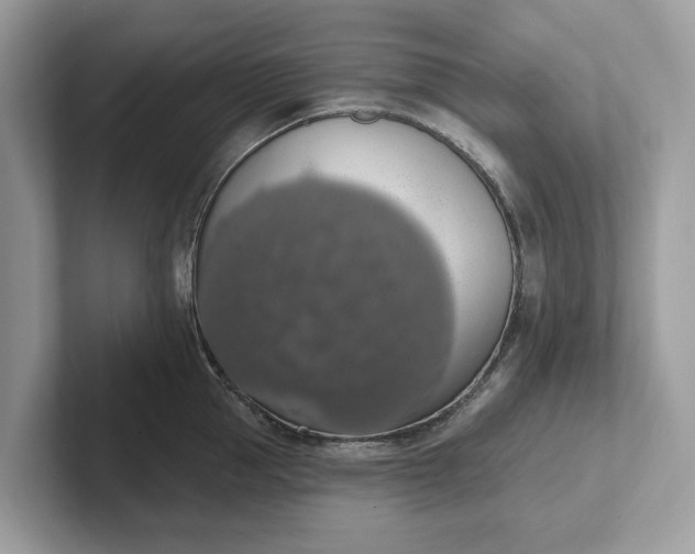 X0000101400953200807211031