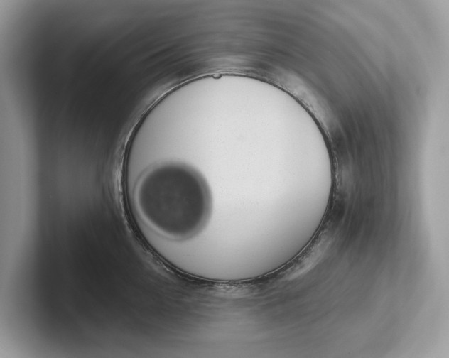 X0000101400954200807211031