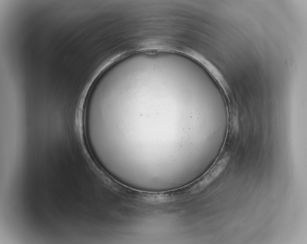 X0000101400957200807211031