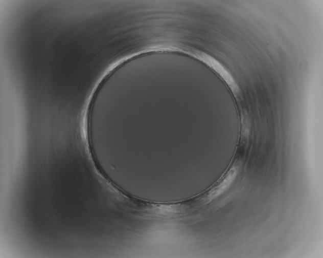 X0000101400958200807211031