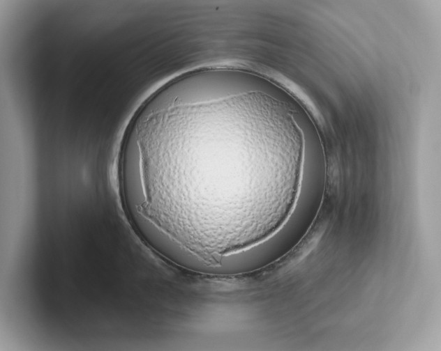 X0000101400959200807211031