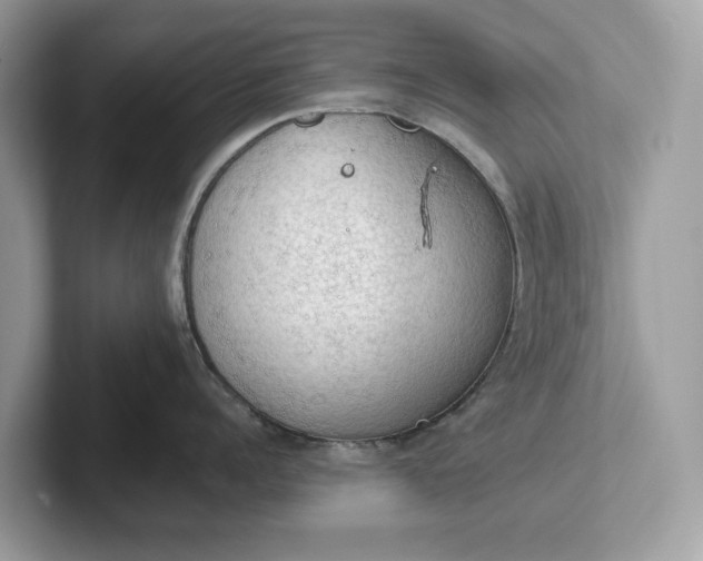 X0000101400960200807211031