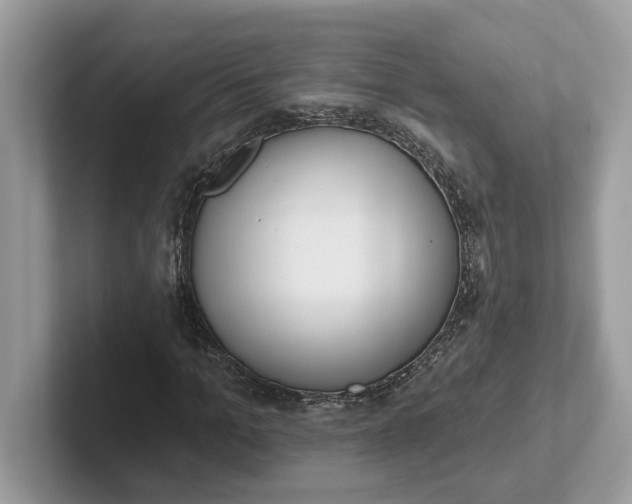 X0000101400965200807211030