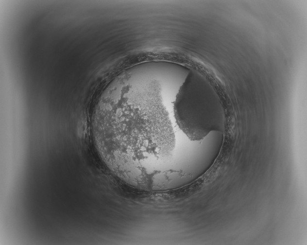 X0000101400966200807211030