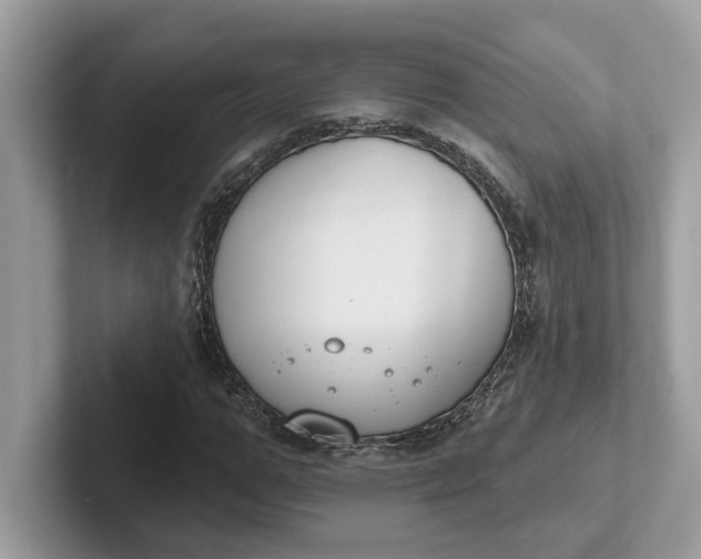 X0000101400967200807211030