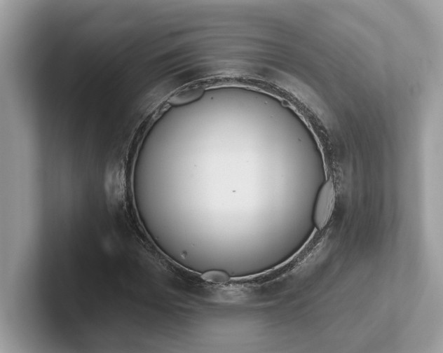 X0000101400969200807211030