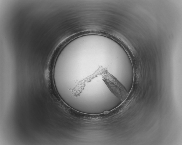 X0000101400975200807211030