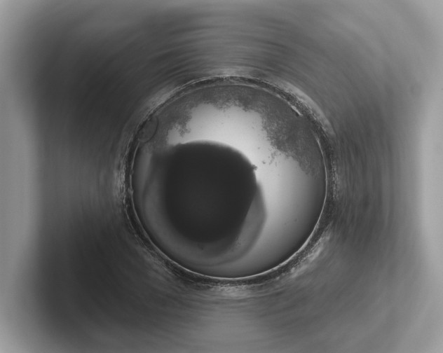 X0000101400977200807211030