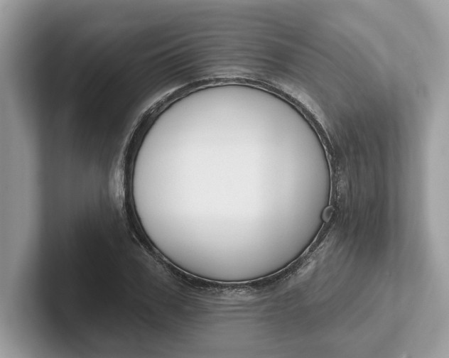 X0000101400979200807211030