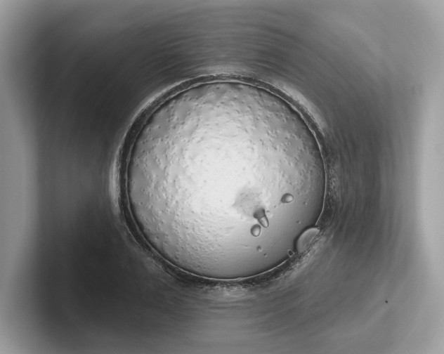 X0000101400983200807211030