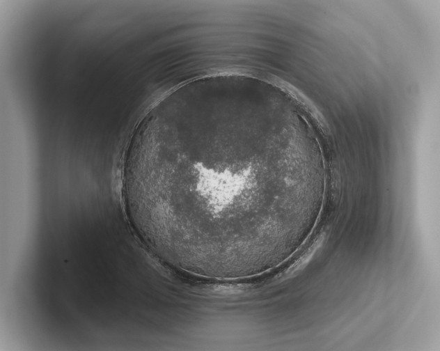 X0000101400985200807211030