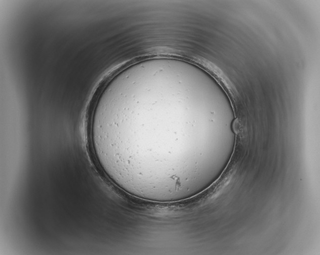 X0000101400987200807211030