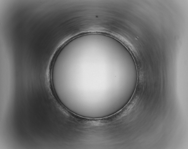 X0000101400990200807211030