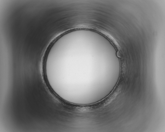 X0000101400991200807211030