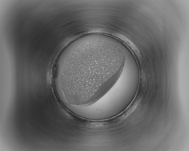 X0000101400993200807211030