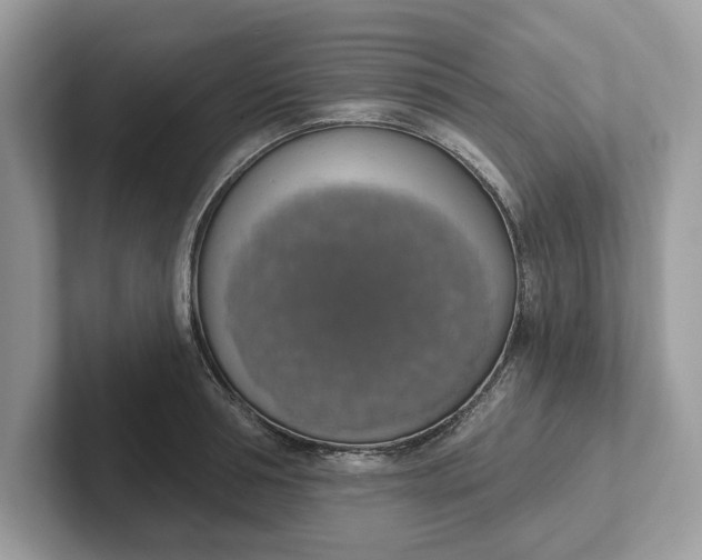 X0000101400994200807211030