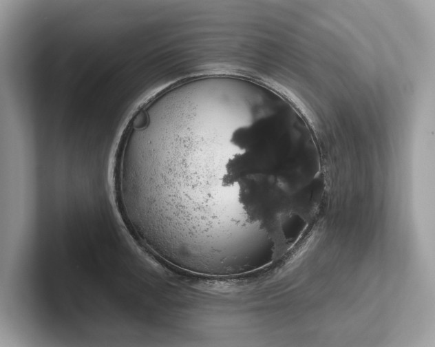 X0000101400995200807211030