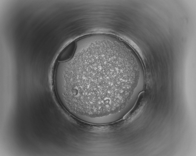 X0000101400997200807211030