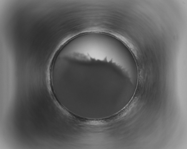 X0000101400998200807211030