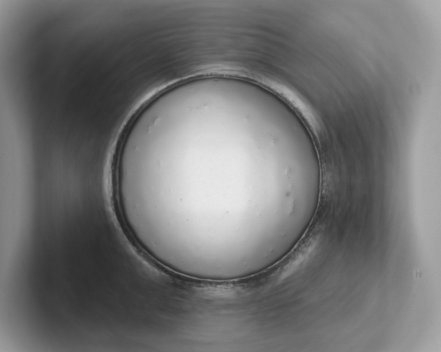 X0000101400999200807211030