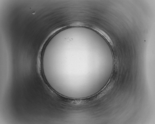 X0000101401000200807211030