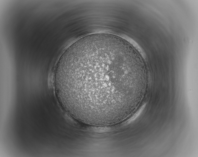 X0000101401001200807211030